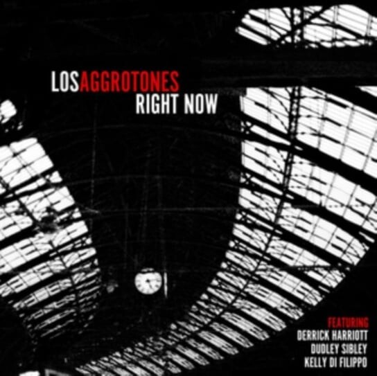 

Виниловая пластинка Los Aggrotones - Right Now
