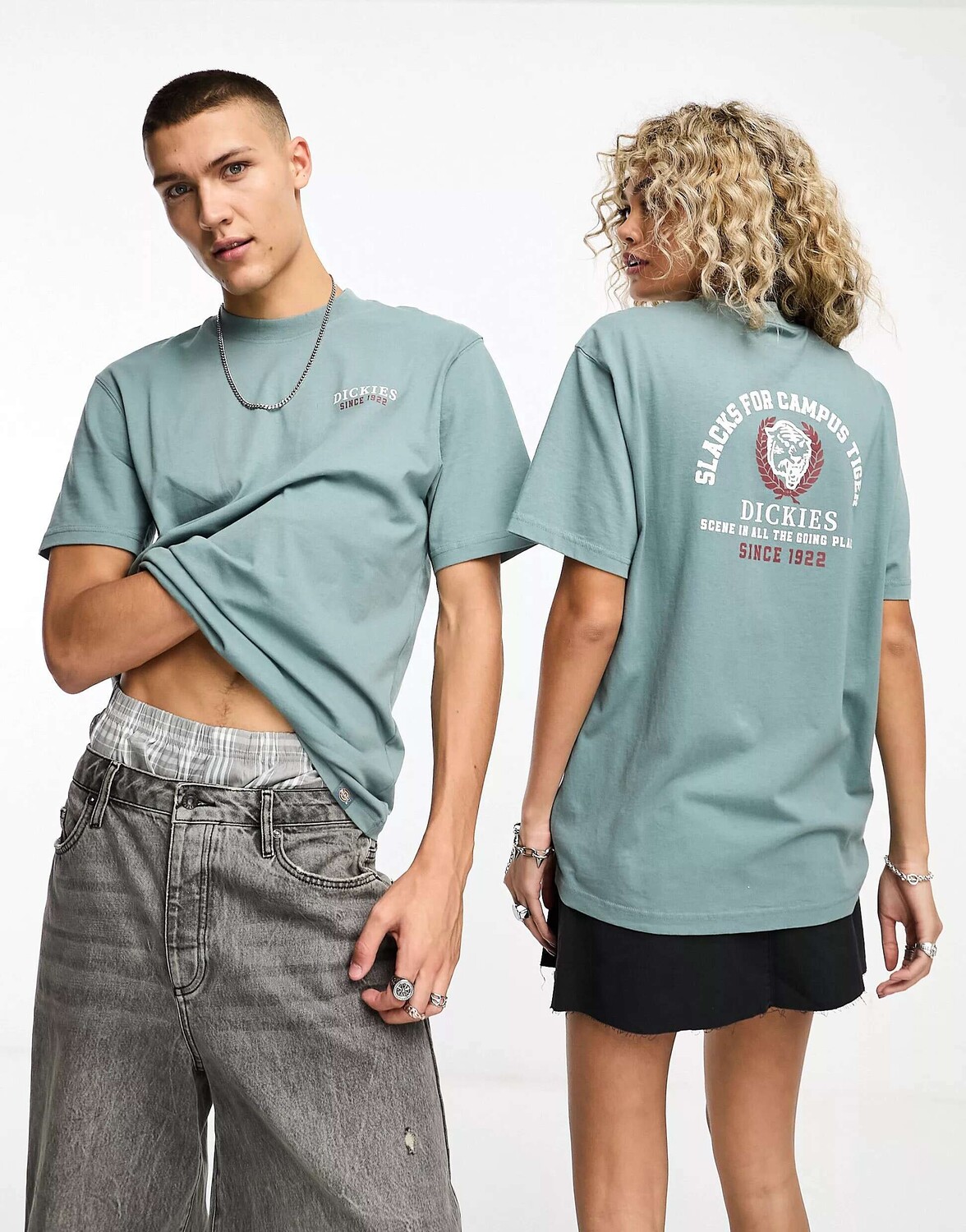 

Синяя футболка с принтом на спине Dickies Westmoreland, Синий