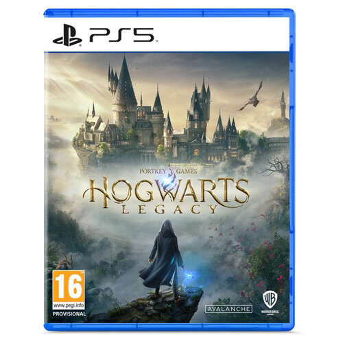 

Видеоигра Hogwarts Legacy – Ps5