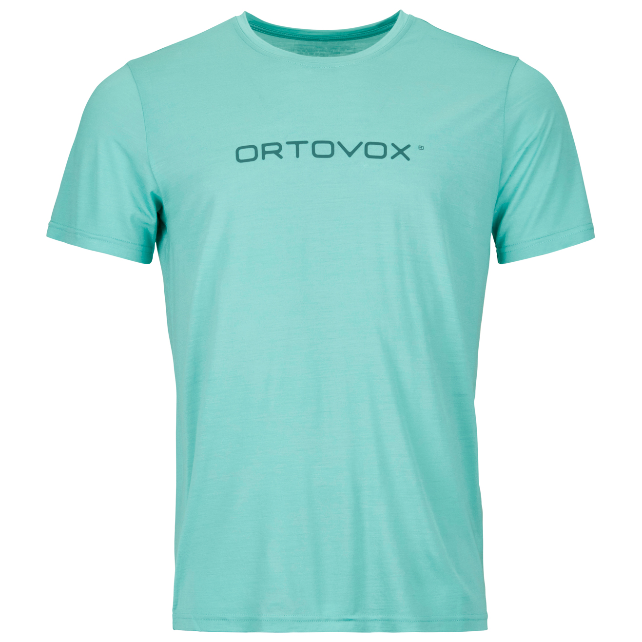 Рубашка из мериноса Ortovox 150 Cool Brand T Shirt, цвет Aquatic Ice
