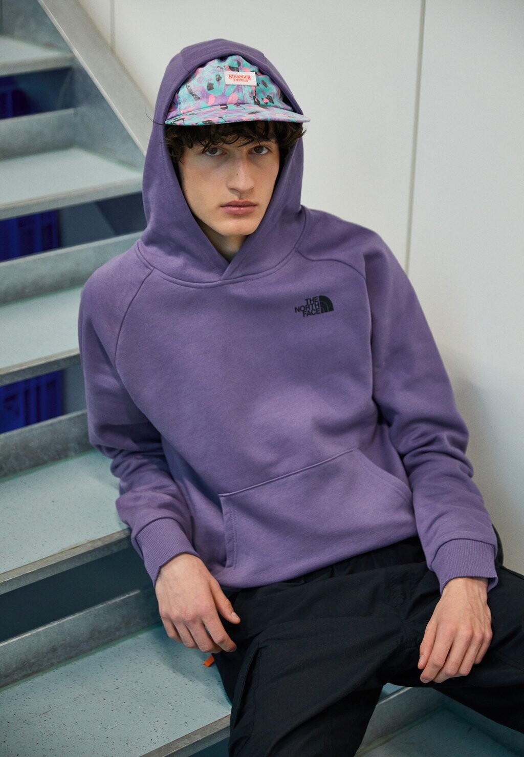 

Худи The North Face