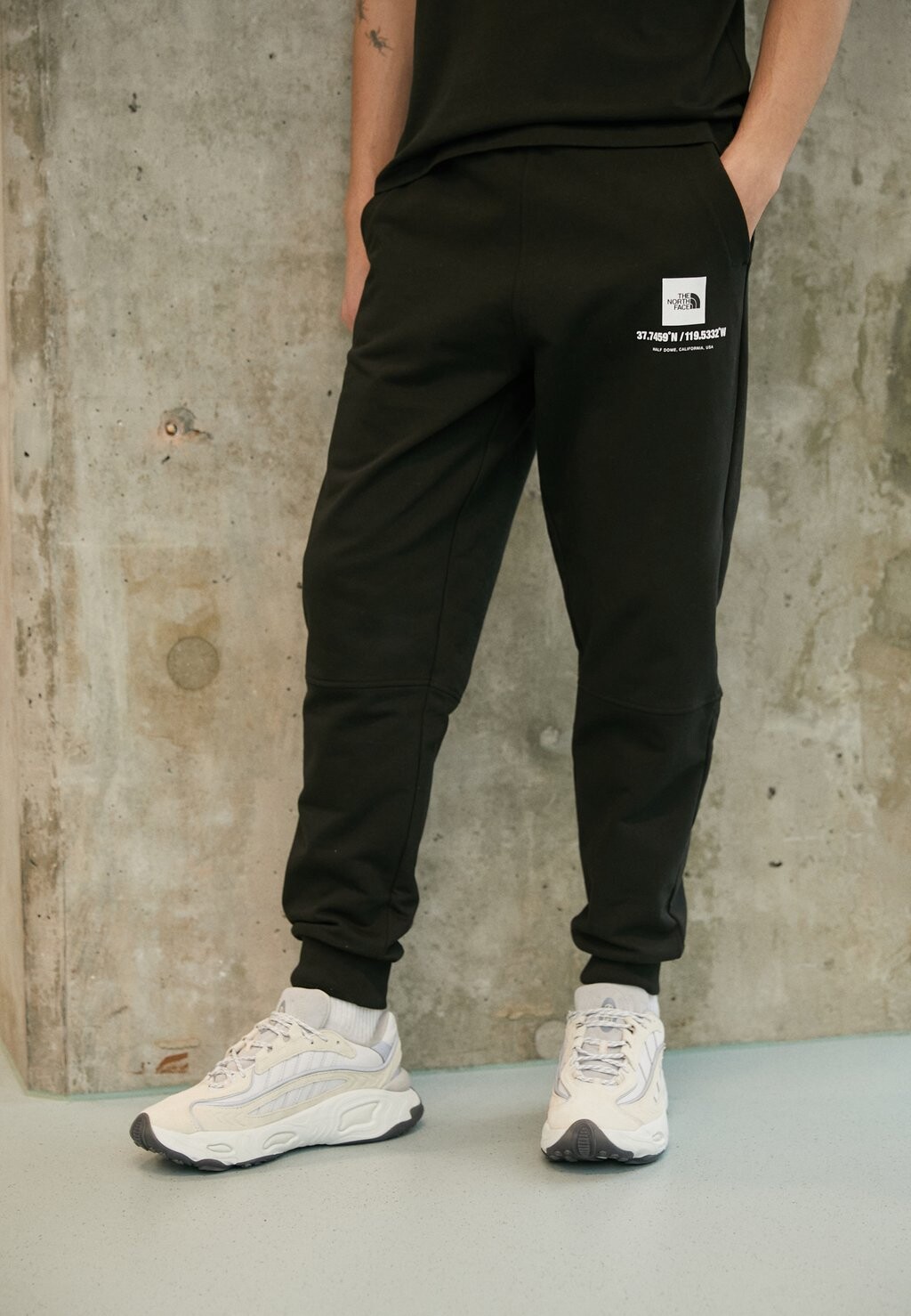 

Спортивные брюки The North Face