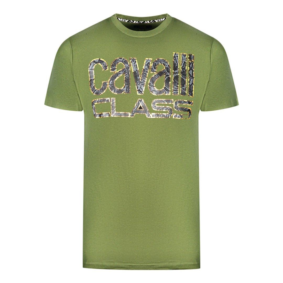 Зеленая футболка с логотипом змеиной кожи Cavalli Class, зеленый