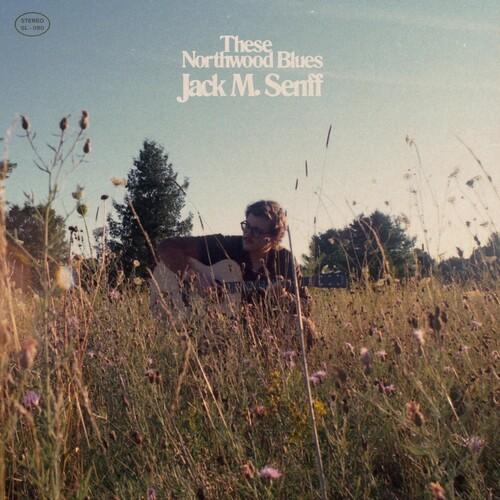 

Виниловая пластинка Senff, Jack M - These Northwood Blues