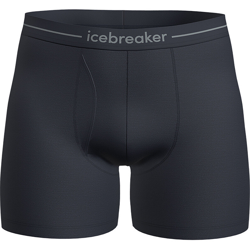 

Мужские боксеры Anatomica Icebreaker, синий
