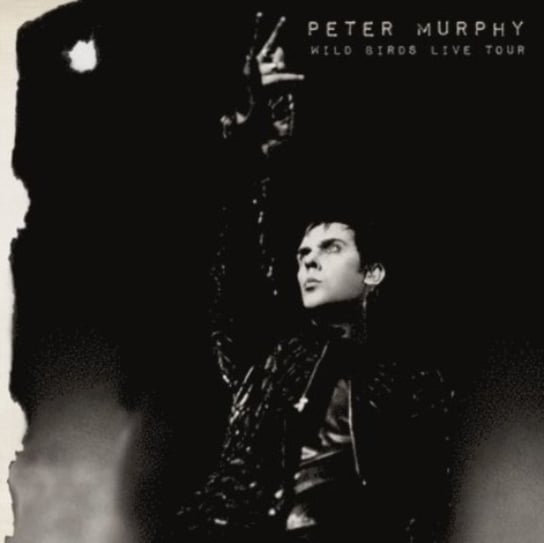 цена Виниловая пластинка Murphy Peter - Wild Birds Live Tour