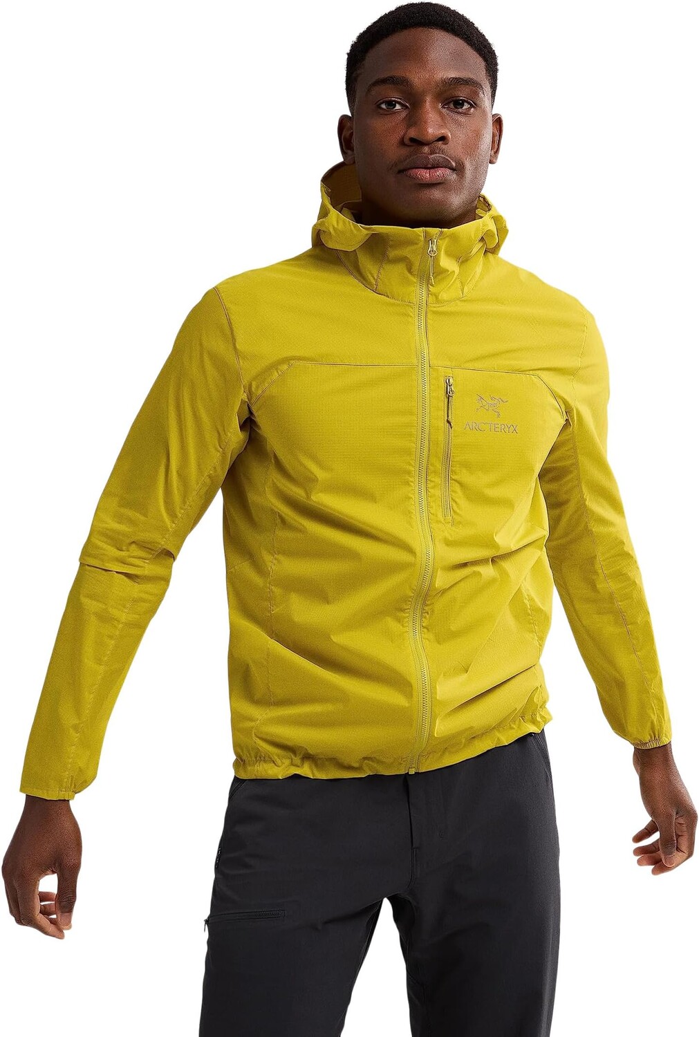 

Толстовка Squamish Hoody Arc'teryx, цвет Lampyre