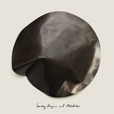 Виниловая пластинка Sontag Shogun & Moskitoo - The Things We Let Fall Apart / The Thunderswan