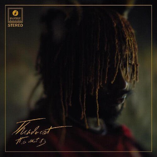 

Виниловая пластинка Thundercat: It Is What It Is