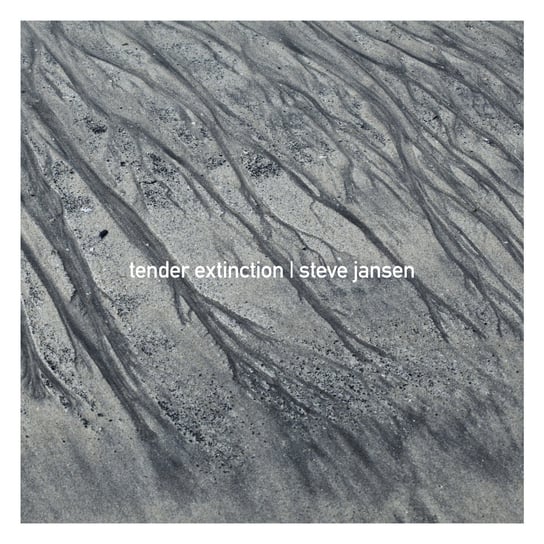 цена Виниловая пластинка Jansen Steve - Tender Extinction