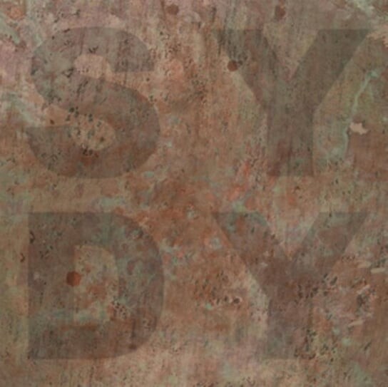 

Виниловая пластинка Shiny Darkly - Bronze