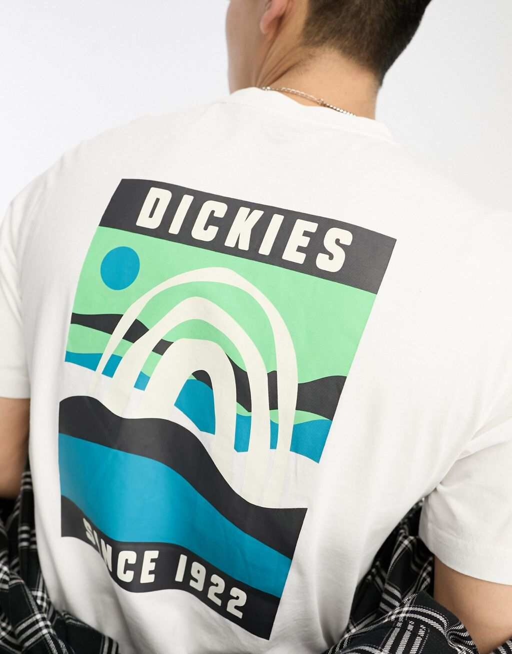 

Белая футболка с принтом на спине Dickies Baker City Landscape