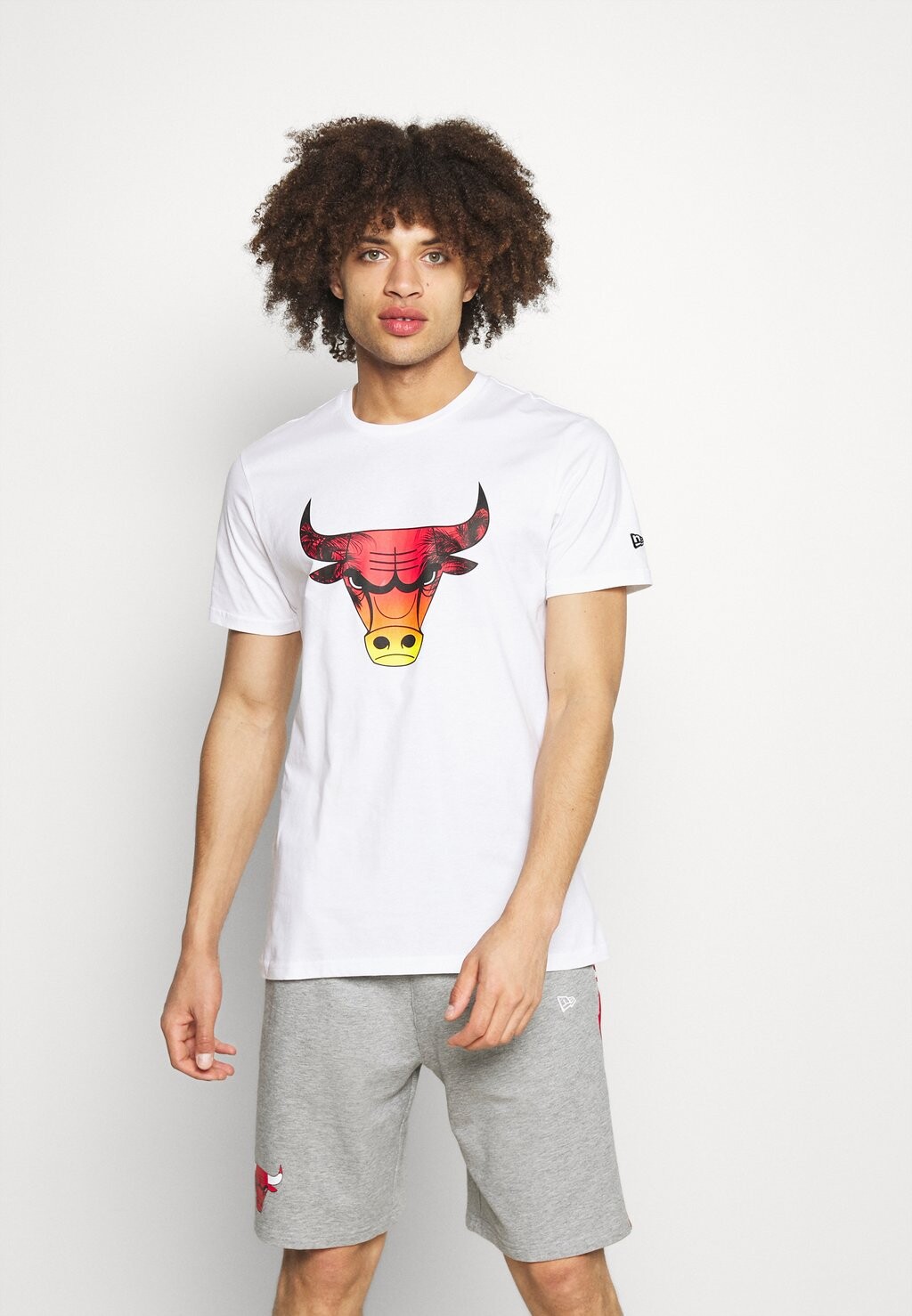 

Клубная одежда CHICAGO BULLS SUMMER CITY INFILL TEE New Era, белый