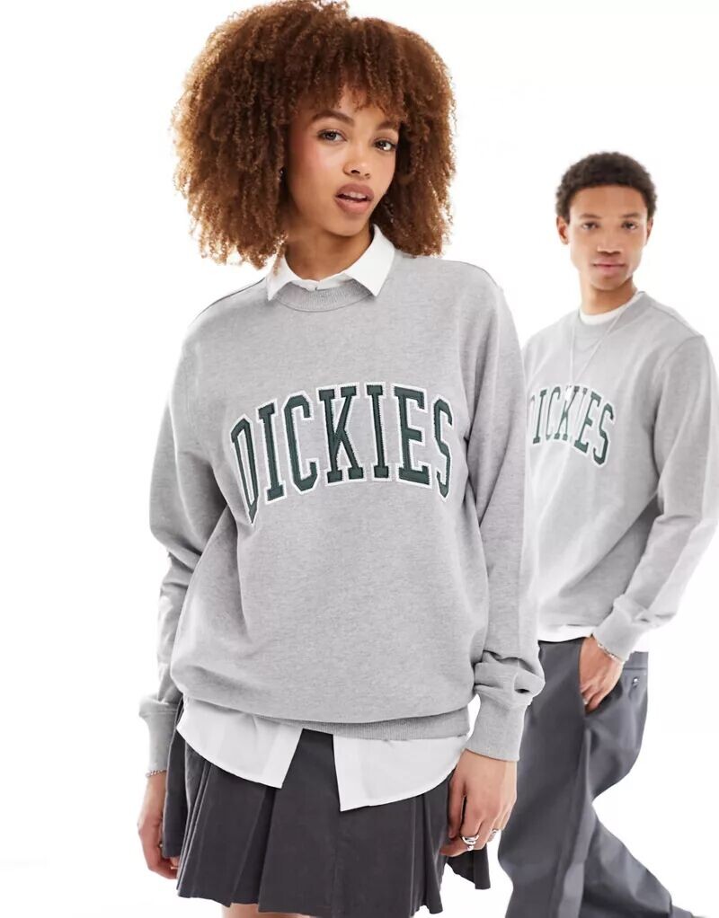 

Серая толстовка Dickies Aitken с большим логотипом
