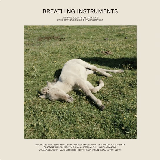 Виниловая пластинка Various Artists - Breathing Instruments