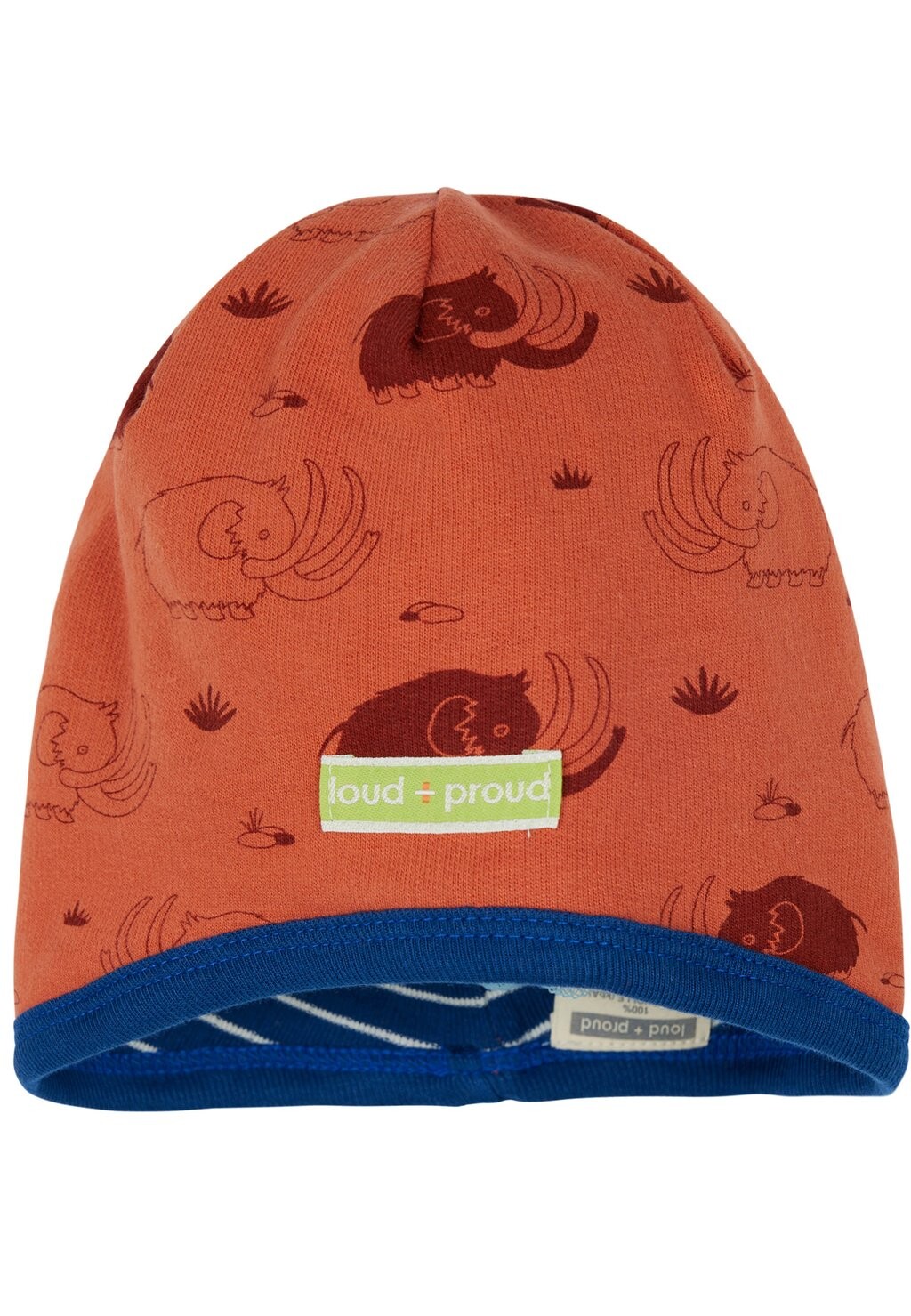 

Шапка REVERSIBLE UNISEX loud + proud, цвет cinnamon