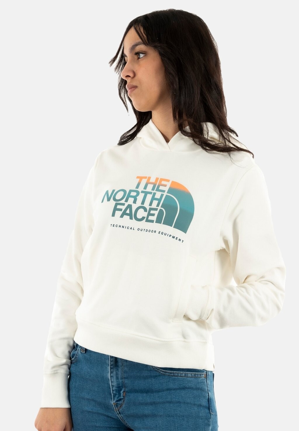 

Толстовка The North Face