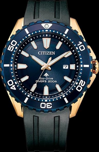 

Часы Citizen BN0196-01L