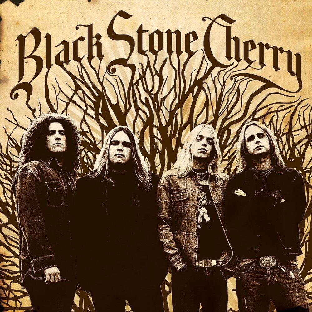 

Виниловая пластинка LP Black Stone Cherry [180 Gram Vinyl] - Black Stone Cherry