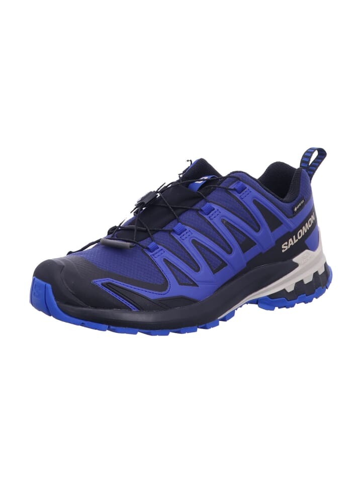 

Кроссовки SALOMON Sport Schuhe Schuhe XA PRO 3D V9 GTX Bluepr, синий