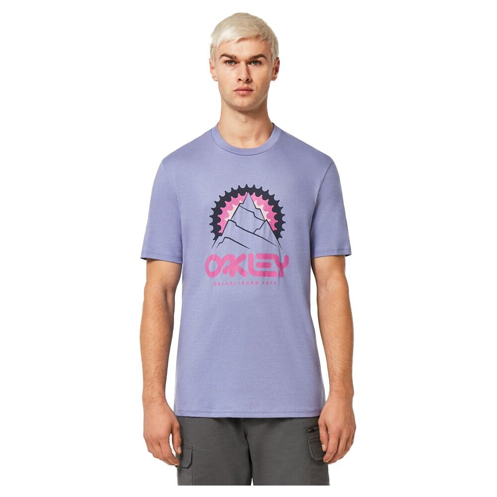 

Футболка Oakley Mountains Out B1B, белый