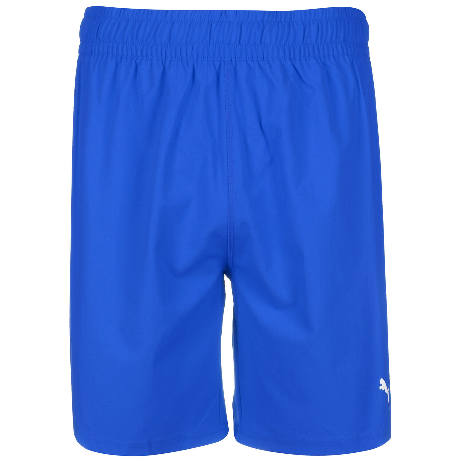 

Шорты Puma Trainings teamFINAL, синий