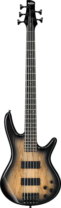 цена Басс гитара Ibanez GSR205SMNGT 5 String Electric Bass Guitar - Spalted Maple Natural Gray Burst