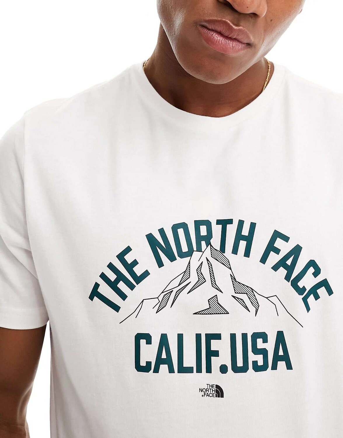 

Белая футболка с принтом на груди The North Face Varsity Mountain, Белый
