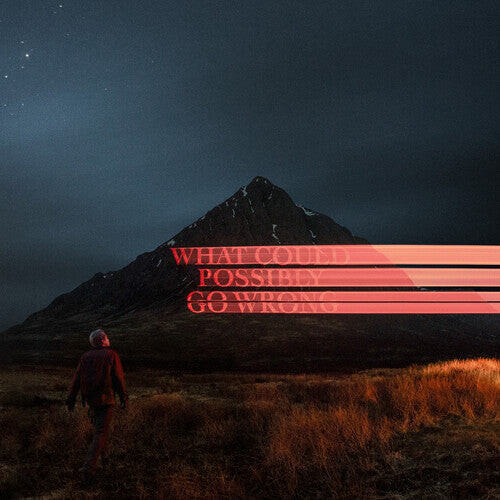 

CD диск Fike, Dominic: What Could Possibly Go Wrong