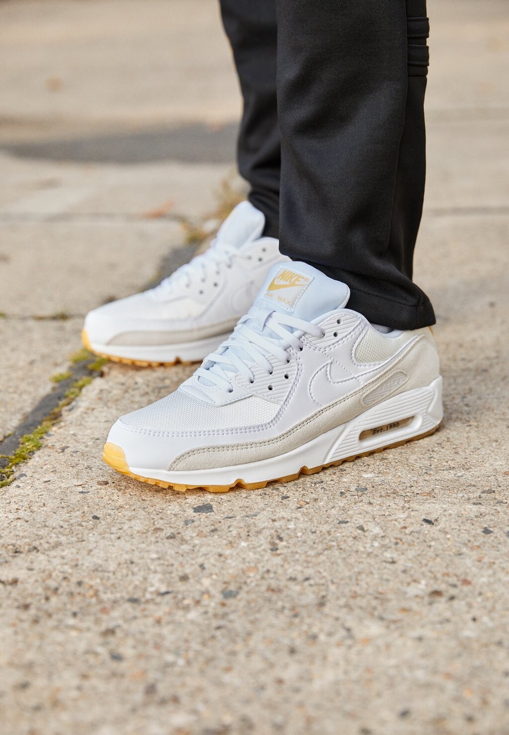 

Кроссовки Nike Air Max 90 Fr, саммит белый / белый