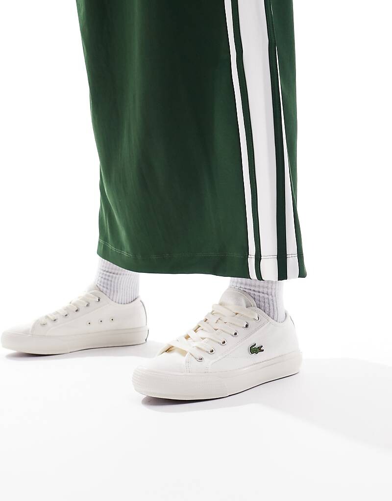 

Кроссовки Lacoste – Backcourt 124 1 CFA – цвета Steinbeige