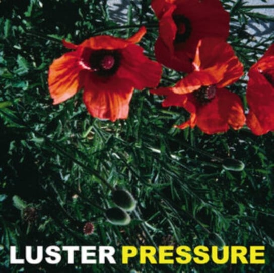 Виниловая пластинка Luster - Pressure 0602435010731 виниловая пластинка logic no pressure