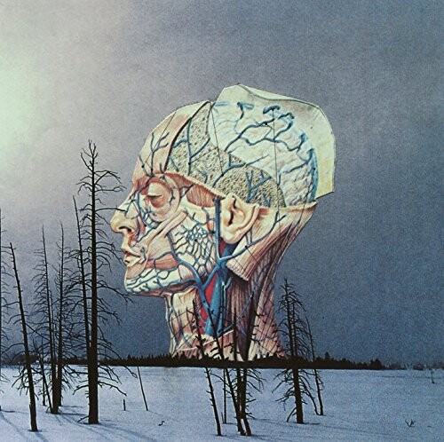 

Виниловая пластинка LOW - Songs For a Dead Pilot