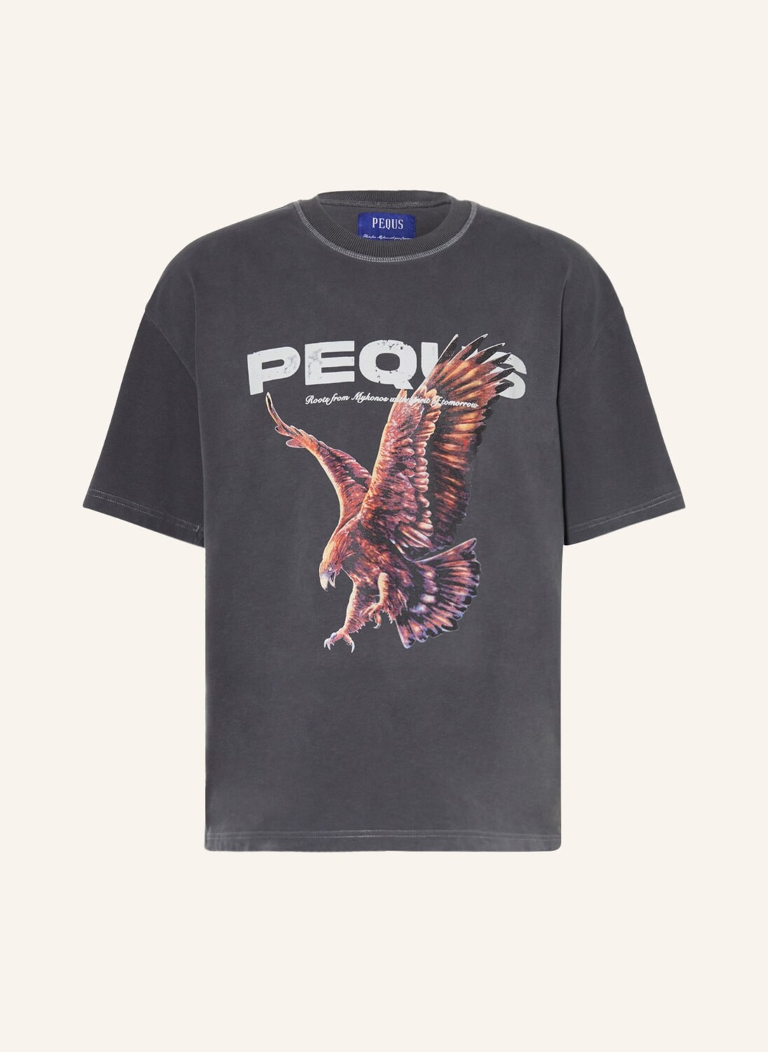 

Футболка PEQUS, серый