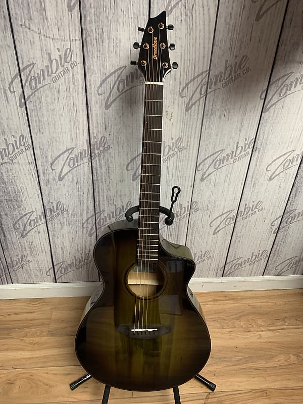 Акустическая гитара Breedlove Pursuit Exotic Limited Edition - Canyon Burst цена и фото