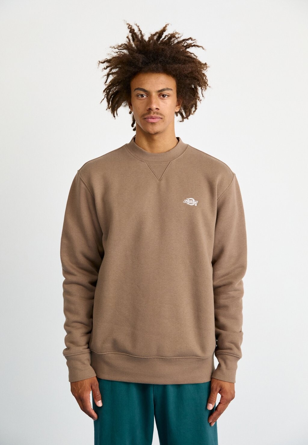 

Спортивный свитер SUMMERDALE Dickies, коричневый