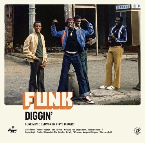 

Виниловая пластинка Funk Diggin / Various