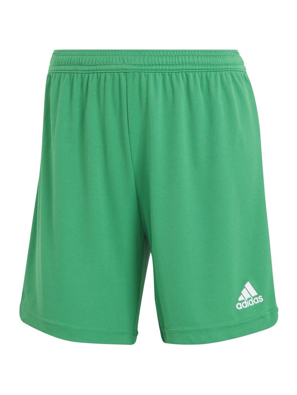 Обычные тренировочные брюки Adidas, зеленый