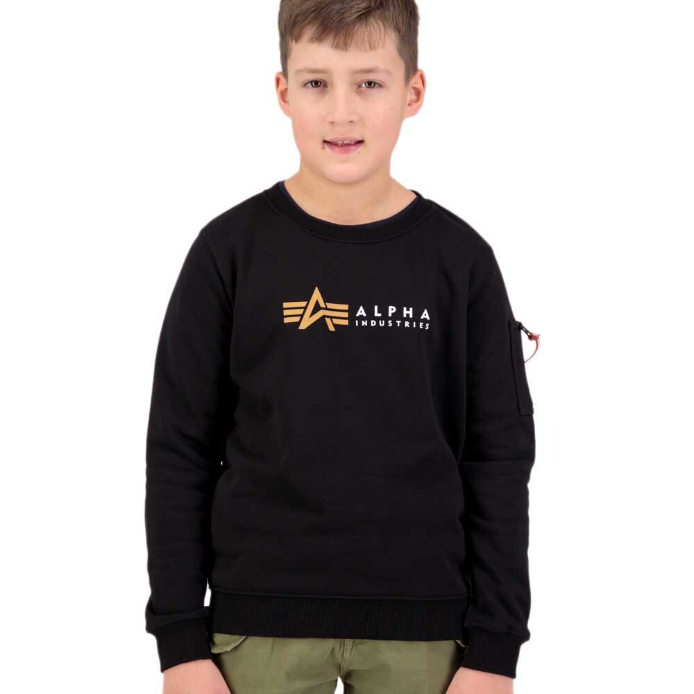 

Толстовка Alpha Industries Label, черный