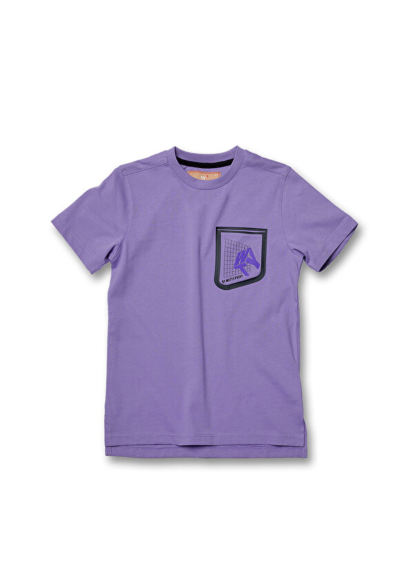 цена Фиолетовая футболка для мальчика с логотипом Wittypoint