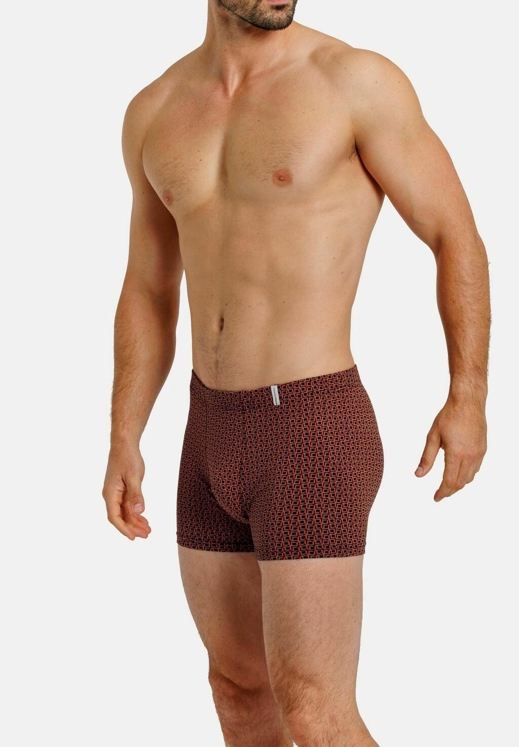 

Брюки OHNE EINGRIFF 2ER PACK HAASIS Bodywear 1919, мультиколор