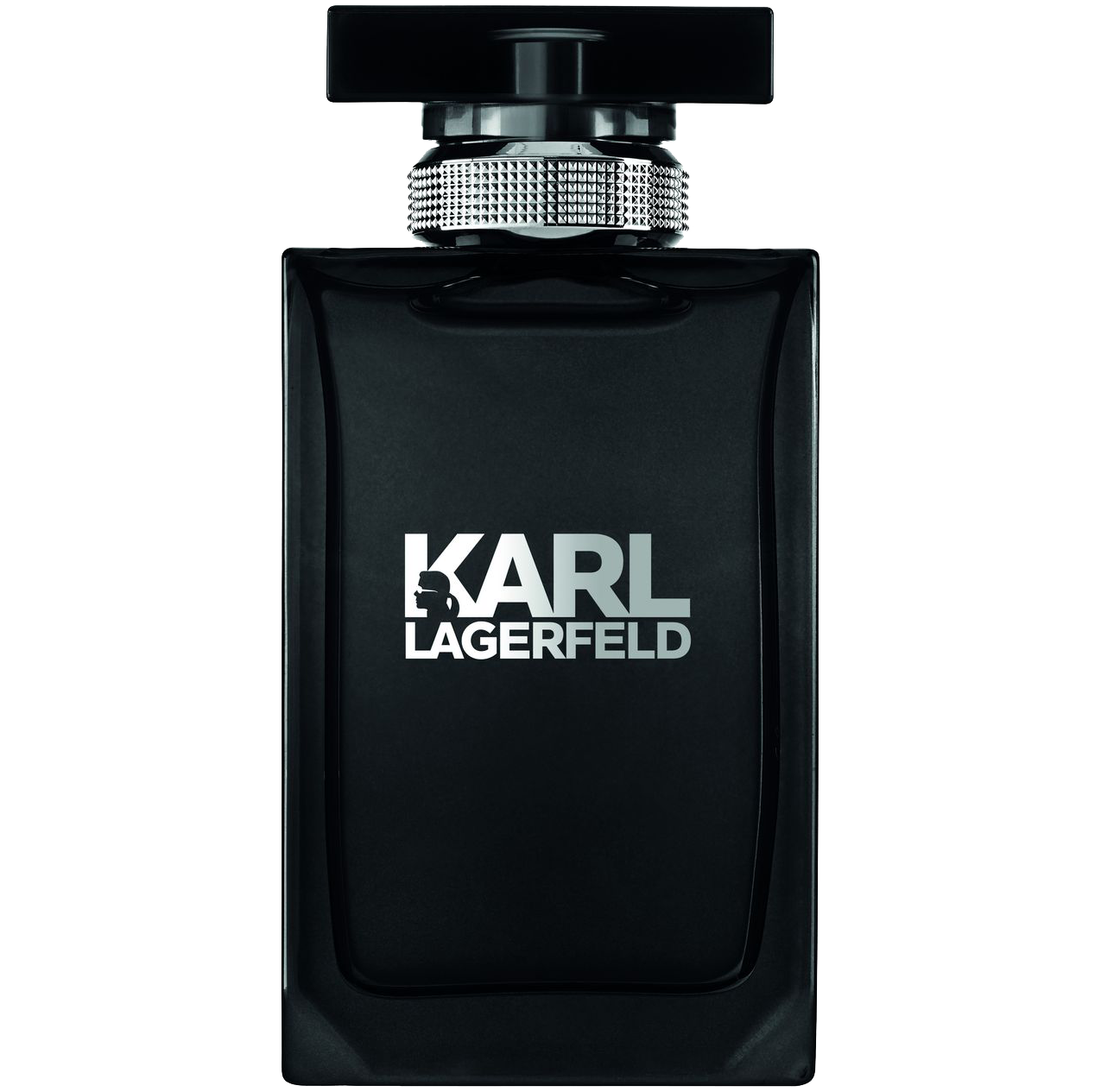 цена Мужская туалетная вода Karl Lagerfeld Men, 100 мл