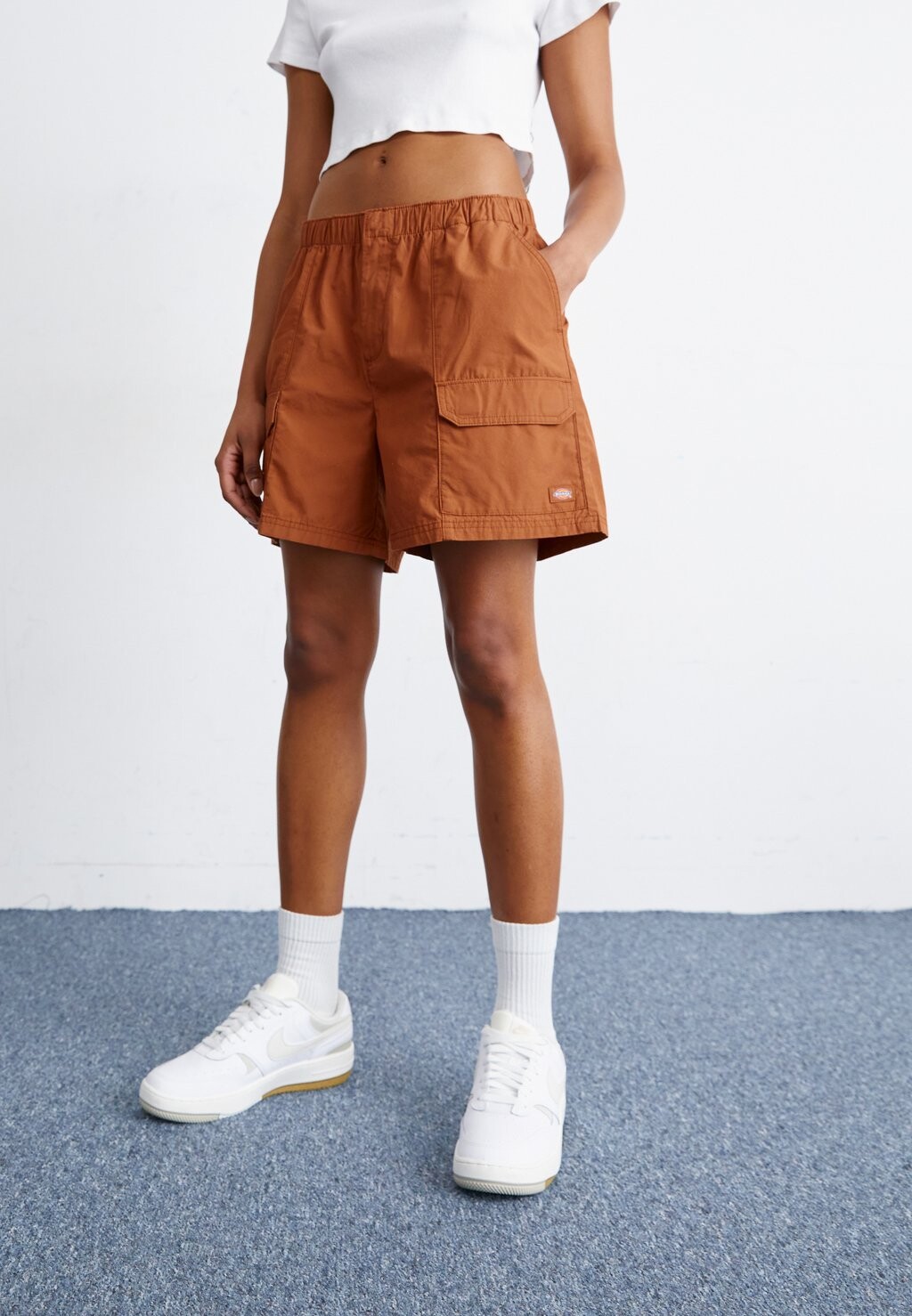 

Шорты FISHERSVILLE Dickies, цвет mocha bisque