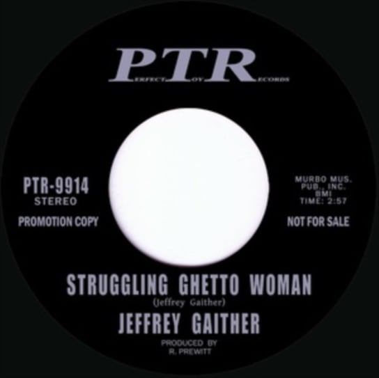 Виниловая пластинка Gaither Jeffrey - Struggling Ghetto Woman
