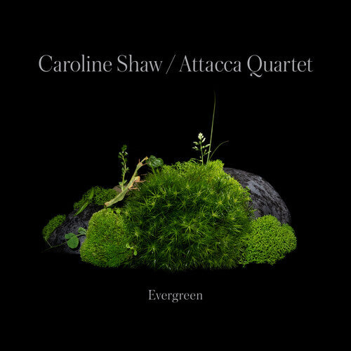 

CD диск Shaw, Caroline & Attacca Quartet: Caroline Shaw: Evergreen