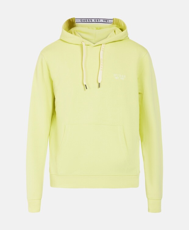 

Худи с капюшоном Guess, цвет Jade