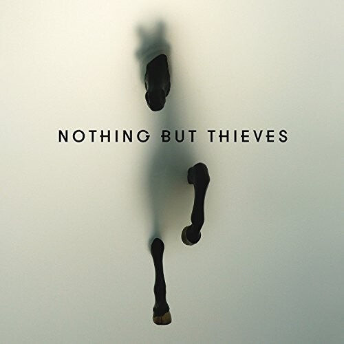 

Виниловая пластинка Nothing But Thieves: Nothing But Thieves