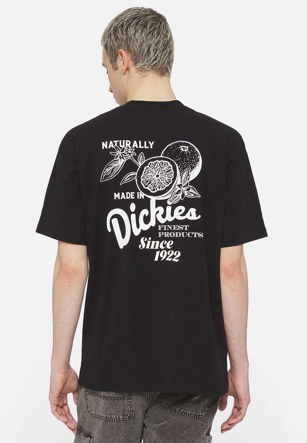 

Футболка с принтом Raven Tee Dickies, черный