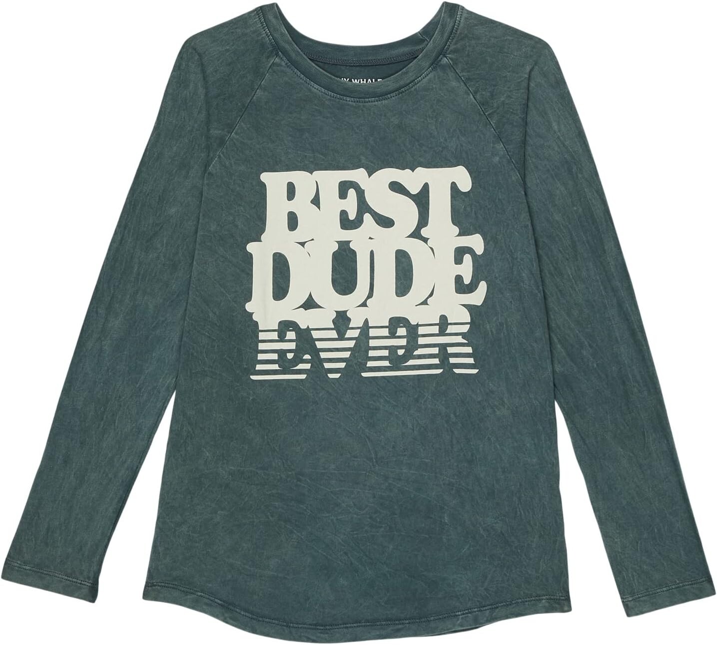 

Футболка Tiny Whales Best Dude Ever Raglan Tee, цвет Mineral Blue Lake