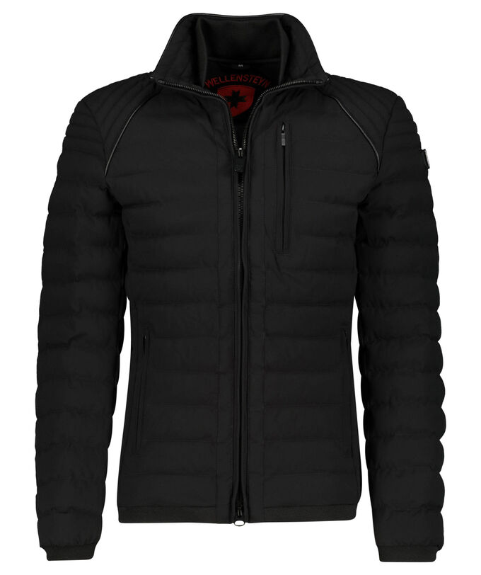 цена Стеганая куртка мол мужское 856 Wellensteyn, черный